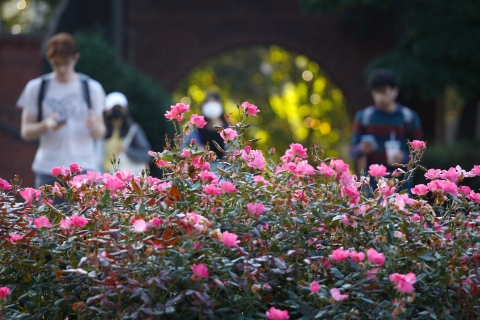 Students Walk on Campus During Springtime